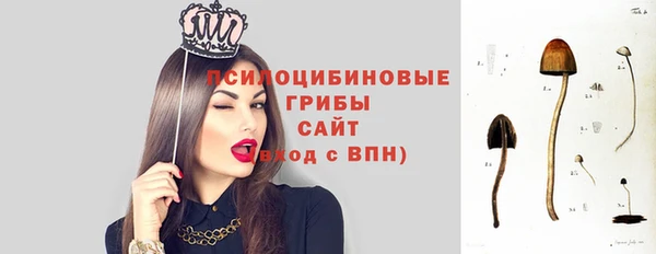 марки nbome Новокубанск