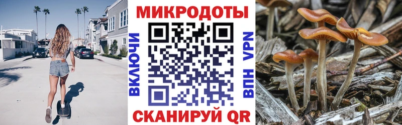 Купить закладки  Калачинск  Галлюциногенные грибы MAGIC MUSHROOMS 